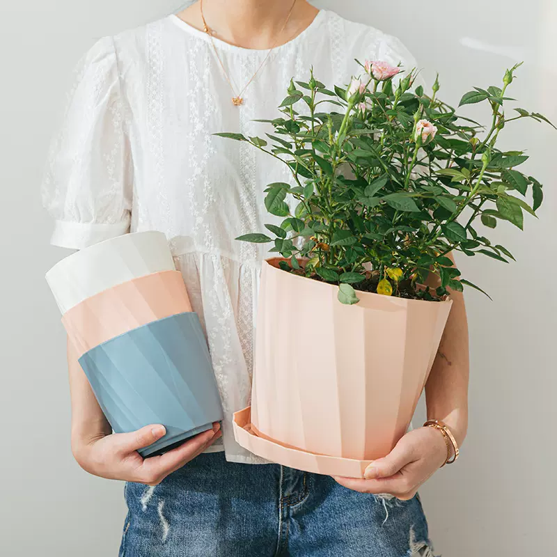 北欧风塑料小花盆 新人首单立减十元 21年11月 淘宝海外