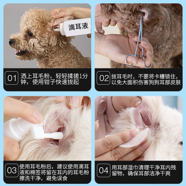 Illustration of Dog Ear Cleaning Tools For Cats