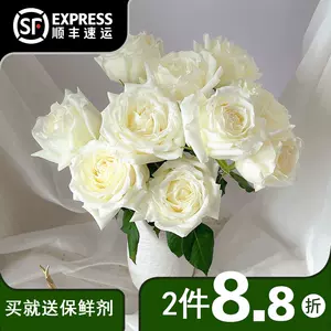 白向日葵花 新人首单立减十元 22年8月 淘宝海外