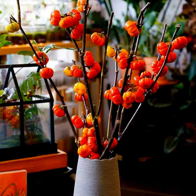 Fresh net red little pumpkin small tomato flower really flowers fresh cut branches and long flowers period can be used as dry flowers
