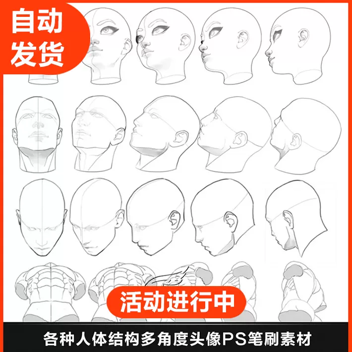 动漫画各种人体头像多角度姿势ps笔刷游戏角色人物绘画设计素材 Taobao 动漫画各种人体头像多角度姿势ps笔刷游戏角色人物绘画设计素材 Taobao
