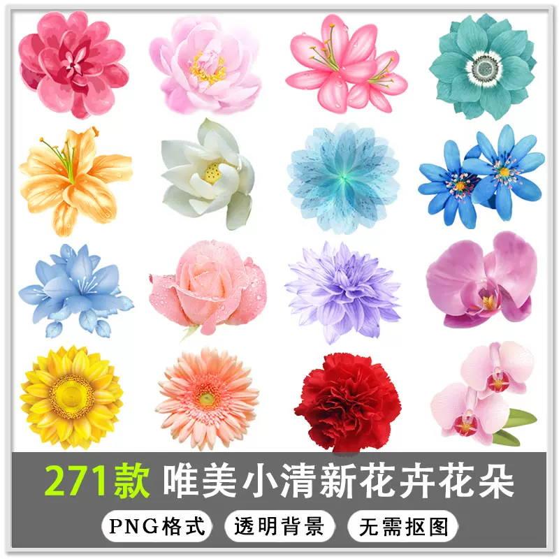 271款手绘唯美小清新花卉花朵植物背景png透明背景免扣素材