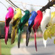 Feather Simulation Parrot Monato Window Window Decoration Bird Bubble Home Losses 20cm Art Pumage Bird
