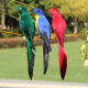 Feather Simulation Parrot Monato Window Window Decoration Bird Bubble Home Losses 20cm Art Pumage Bird
