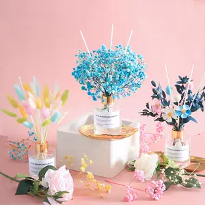 满天星真花盆栽 新人首单立减十元 22年8月 淘宝海外 满天星真花盆栽 新人首单立减十元 22年8月 淘宝海外