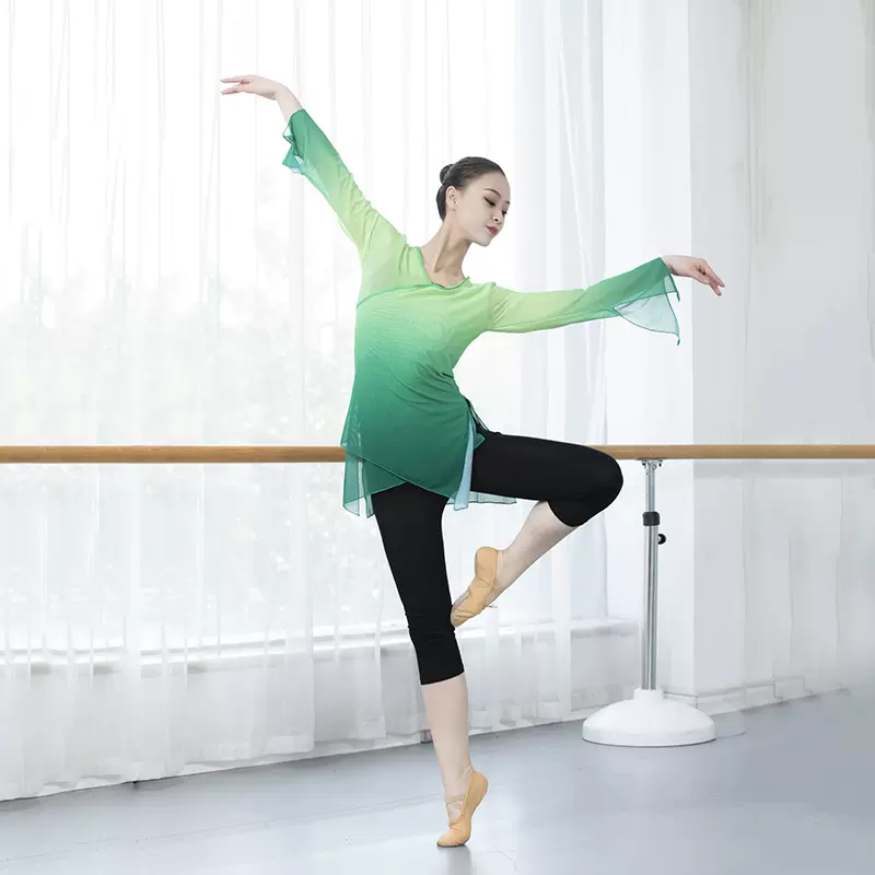 古典舞练功服女身韵舞蹈纱衣飘逸中国风上衣套装现代