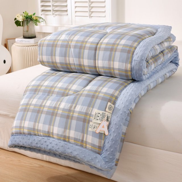 High-end adult beanie quilt 2023 new winter double quilt thickened category A maternal and infant grade children's spring and autumn quilt core