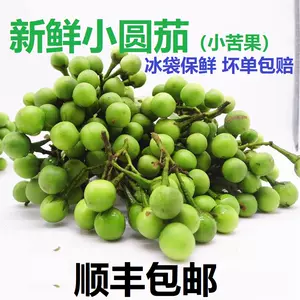 迷你小茄子- Top 50件迷你小茄子- 2023年8月更新- Taobao