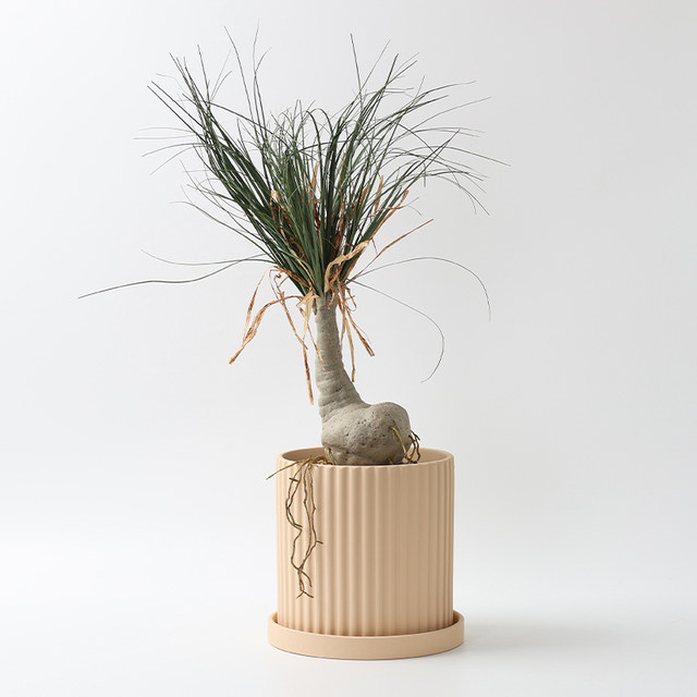 Nordic simple clay succulent creative personality orchid pothos orchid home ceramic wabi-sabi striped flower pot