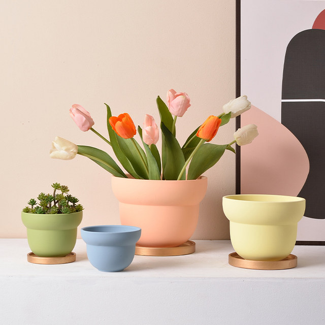 Nordic flower basin INS style new models of simple retro style colorful poly -meat potted green plant cactus abstract indoor circle

