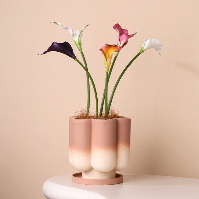 New Year's Red Phalaenopsis Basin Light luxury high -level sense of home ceramic combination pot high -end orchid special flower pot