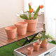 Red pottery pot with a tray with a tray multi -meat international basin minimalist and rough ceramics, the circular air -breathable pottery basin living room balcony mud tile pot
