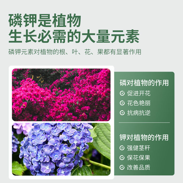 Stanley Potassium Dihydrogen Phosphate Fertilizer Flower Special Authentic Agricultural Phosphate Fertilizer Flower Fertilizer Phosphorus Potassium Fertilizer Foliar Fertilizer for Flowers