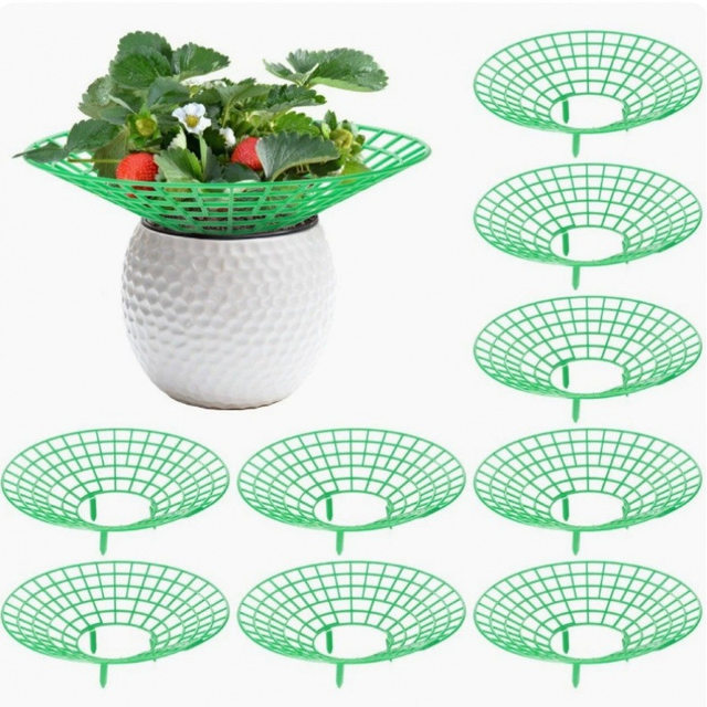 Home planting strawberry bracket ground insert bracket planting strawberry support frame gardening strawberry propagation cup