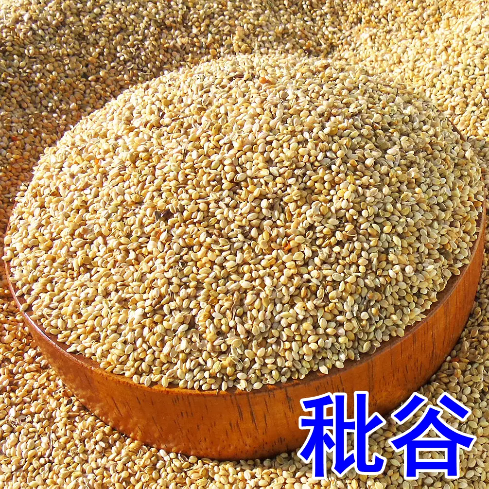 5斤秕谷谷壳小米壳谷子米糠壳荞麦壳黍子谷