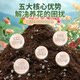 Nutrient soil for flower cultivation, general purpose vegetable soil, soil green plant planting, large package, household potted flower cultivation, household soil
