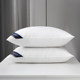 A pair of five -star hotel super soft pillow neck pillow help sleep pillow core home adult feather velvet single pillow