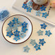 Blue star hairpin Zhang Jie concert headwear support dopamine cute five-pointed star bangs side clip hairpin