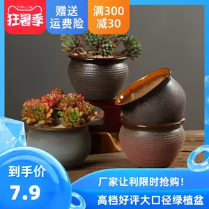 大花盆儿 新人首单立减十元 22年7月 淘宝海外