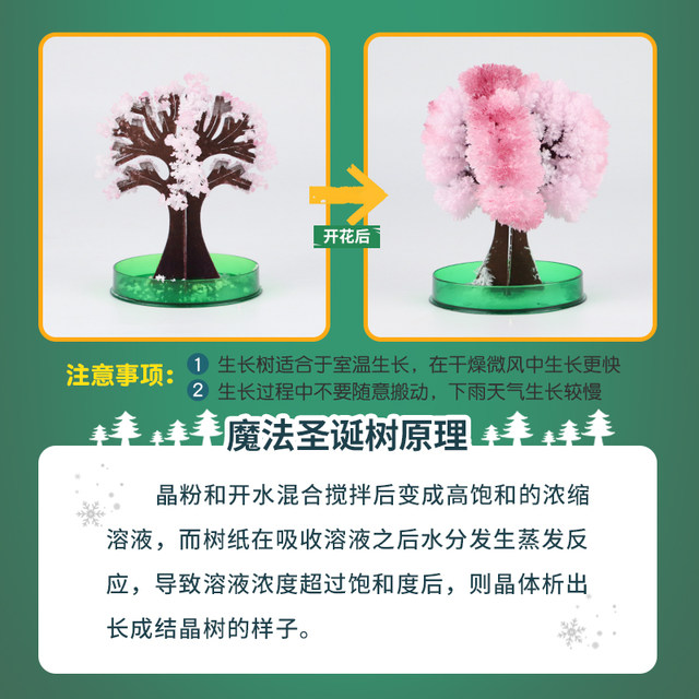 Paper tree blossoms, watered Christmas tree, colorful magic growing crystal cherry blossom tree, children's magical creative toy gift