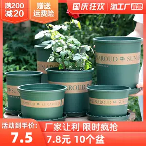 多肉花盆批发 新人首单立减十元 22年10月 淘宝海外 多肉花盆批发 新人首单立减十元 22年10月 淘宝海外
