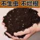 Nutrient soil for flower cultivation, general purpose vegetable soil, soil green plant planting, large package, household potted flower cultivation, household soil