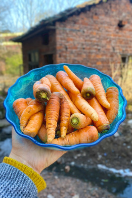 Местные фермеры в Хэнъяне, провинция Хунань, выращивают овощи, фрукты, морковь, добавки для детского питания, тушеное мясо, жаркое, свежую морковь.