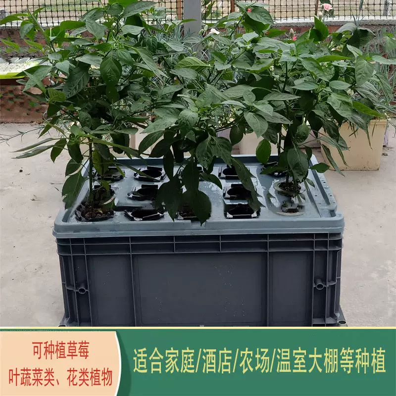 气雾栽培箱阳台无土栽培蔬菜种植机水培设备家用种