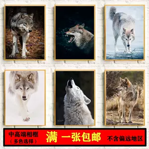 狼图壁纸 新人首单立减十元 22年4月 淘宝海外 狼图壁纸 新人首单立减十元 22年4月 淘宝海外