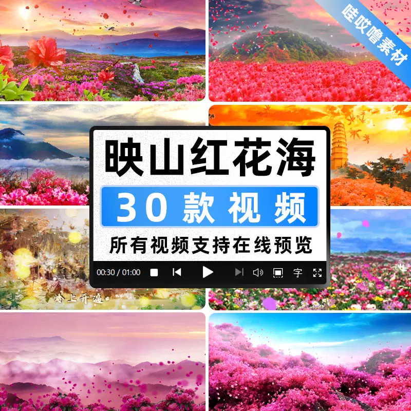 花海背景素材 新人首单立减十元 21年11月 淘宝海外 花海背景素材 新人首单立减十元 21年11月 淘宝海外