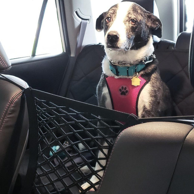 Pet car isolation net car trunk dog travel car front and rear partition ...