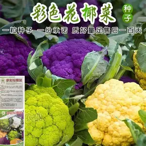 彩色菜花 新人首单立减十元 22年9月 淘宝海外