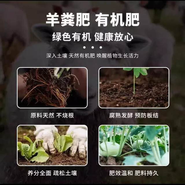 Sheep manure fermented organic fertilizer 100Jin [Jin is equal to 0.5kg] special flower fertilizer for vegetables, chicken manure, potted flowers and vegetables, farmyard fertilizer for flowers