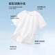 Xue Zhongfei 100% pure cotton short-sleeved T-shirt for women 2025 summer casual round neck half-sleeved PC
