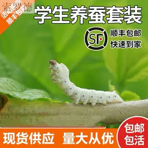 蚕虫宝宝 Top 44件蚕虫宝宝 22年11月更新 Taobao