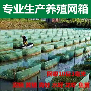 水蛙 新人首单立减十元 22年8月 淘宝海外