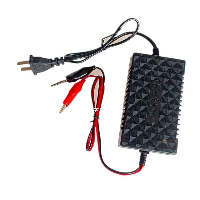 Sprayer toy car 12 volt lead-acid battery charger three-hole plug fish clip indicator light battery intelligent charging
