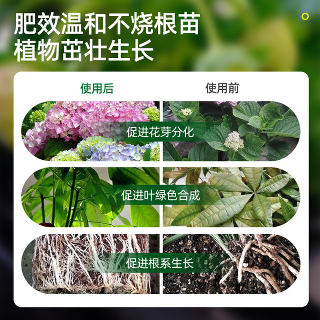 Plant nutrition tablets universal family horticultural mitigation fertilizer fertilizer fertilizer Furnishing potted universal flowers and vegetables and fertilizer

