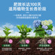Plant nutrition tablets universal family horticultural mitigation fertilizer fertilizer fertilizer Furnishing potted universal flowers and vegetables and fertilizer
