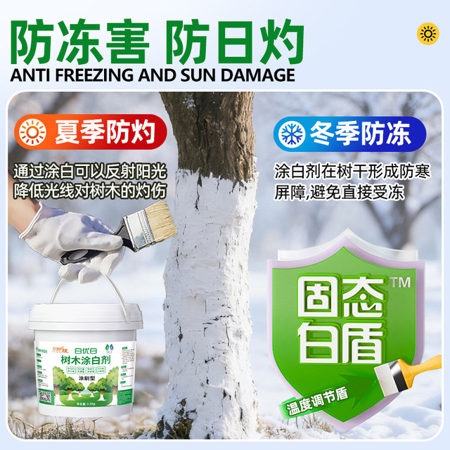 Dilution-free whitening agent for fruit trees, lime-sulfur mixture pesticide, anti-insect and anti-freeze gardening garden trees universal garden clearing