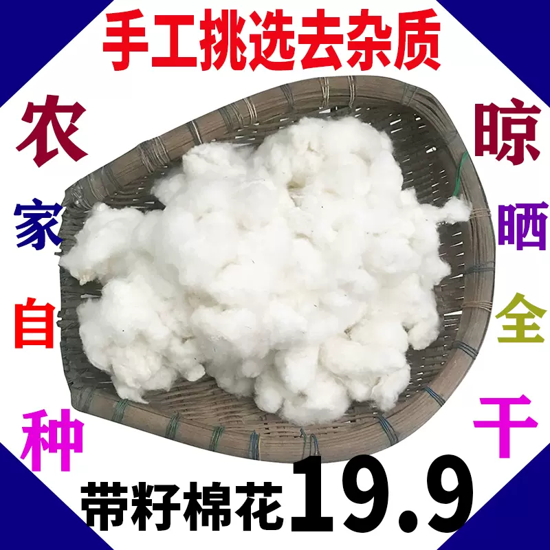 带籽棉花农家棉花带籽结婚未加工籽棉散装带籽的棉花