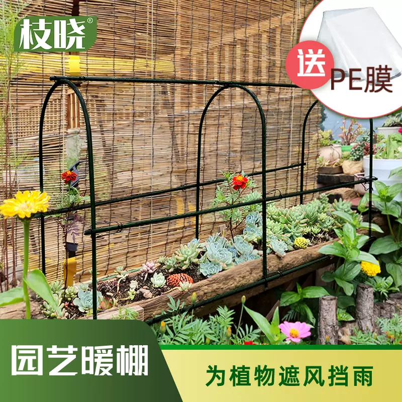 植物暖房温棚暖棚温室家用小型花房罩花棚阳台保温棚