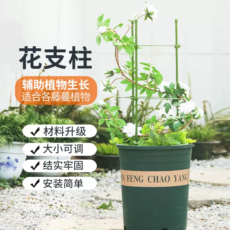 枝晓花支柱爬藤架花支柱植物攀爬架室内外蔷薇