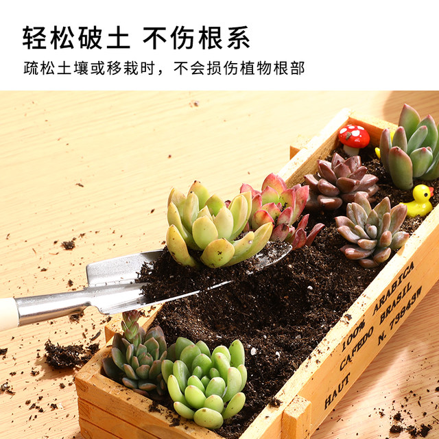Japan imported flower pot long shovel to take off the pot artifact multi-succulent transplant seedling stainless steel planting digging gardening small shovel