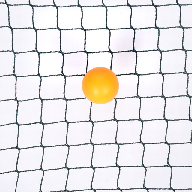 Table tennis court fence fence training net ball fence protection net no network intercept network indoor