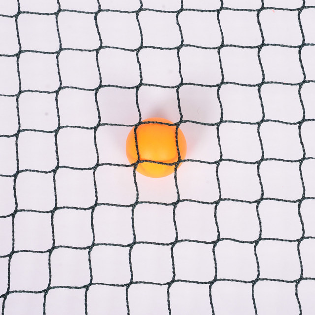 Table tennis court fence fence training net ball fence protection net no network intercept network indoor