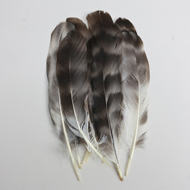 Small Feather Kindergarten Handmade Jewelry Accessories Pheasant Feather Diy Material Bird Feather Decorative Specimen Production
