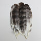 Small Feather Kindergarten Handmade Jewelry Accessories Pheasant Feather Diy Material Bird Feather Decorative Specimen Production
