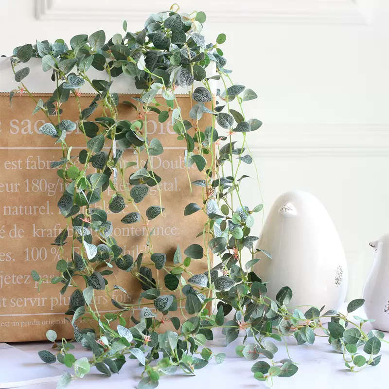 爱之蔓盆栽 新人首单立减十元 21年11月 淘宝海外