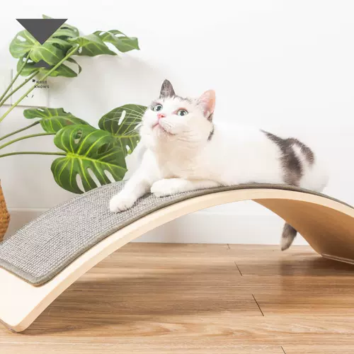 猫跷跷板 新人首单立减十元 22年2月 淘宝海外